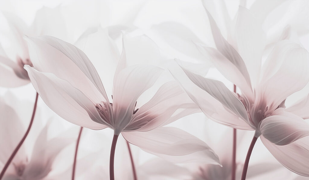 Delicate blossoms in soft hues Delicate blossoms in soft hues