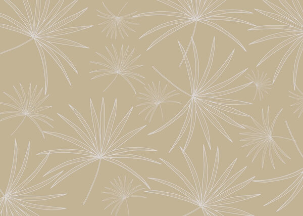 Pattern of white flowers Pattern of white flowers