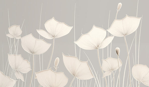 White flowers with long stems White flowers with long stems