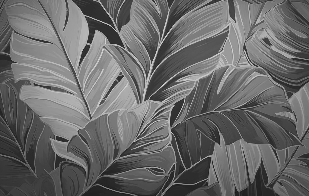 Natural patterns in monochrome tones. Natural patterns in monochrome tones.