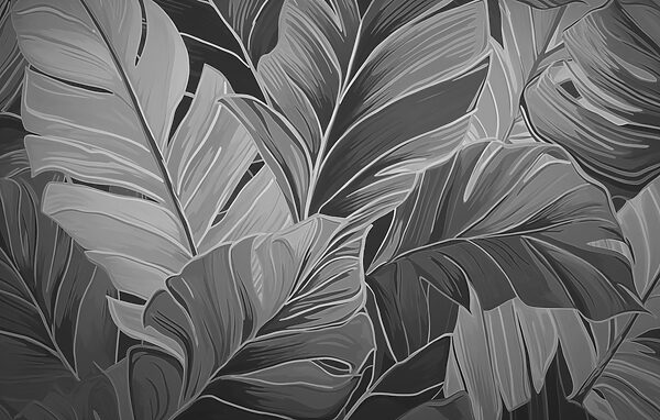 Natural patterns in monochrome tones. Natural patterns in monochrome tones.