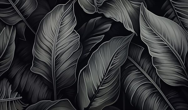 Textured leaves on a dark background Textured leaves on a dark background