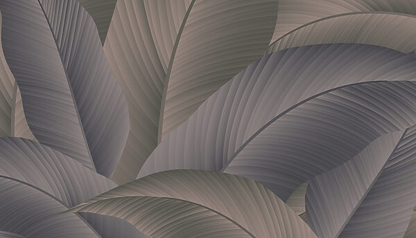 Elegant layers of textured leaves. Elegant layers of textured leaves.