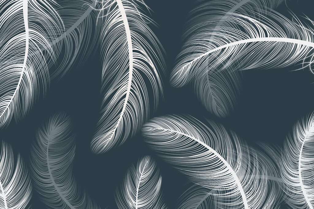 Delicate feathers dancing on dark background