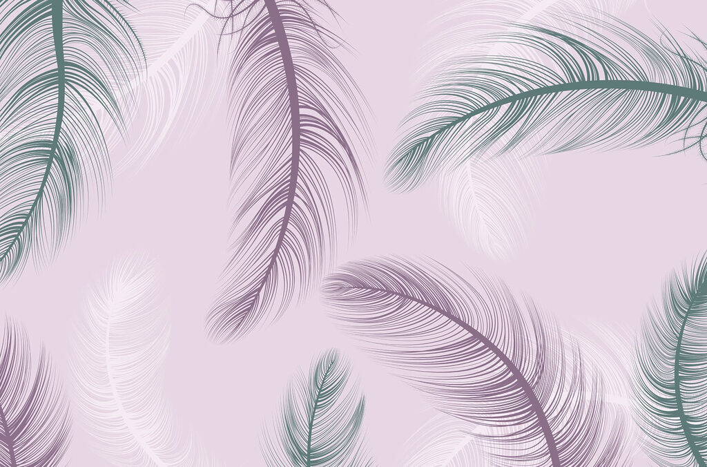 Delicate feathers dancing in the breeze Delicate feathers dancing in the breeze