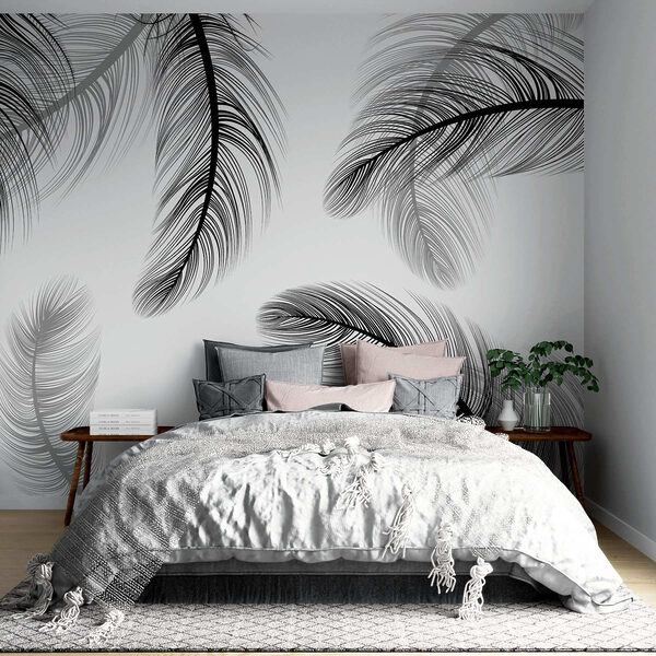 Group of black and white feathers Group of black and white feathers