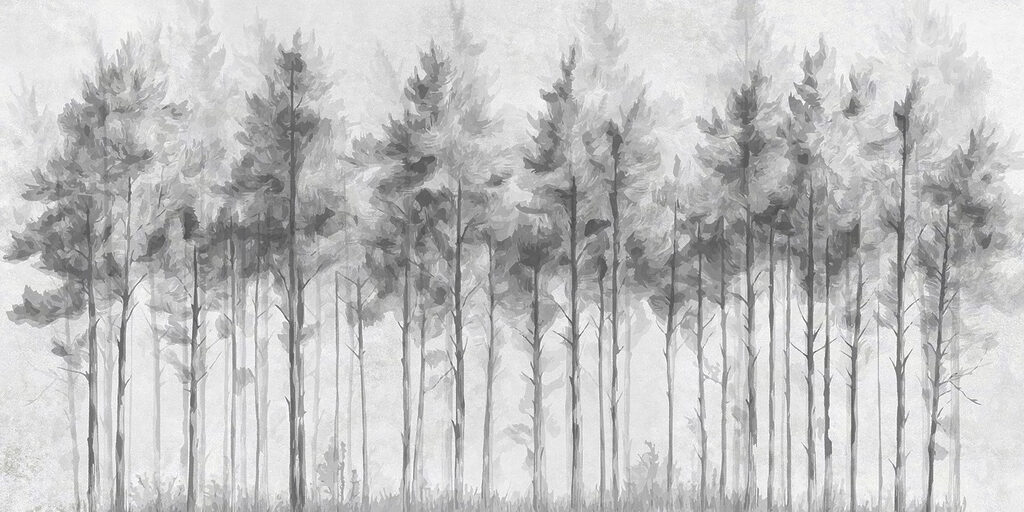 Group of trees in a forest Group of trees in a forest