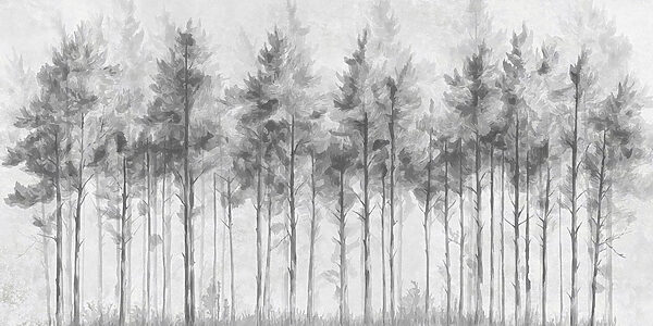 Group of trees in a forest Group of trees in a forest