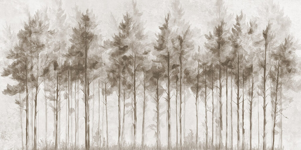 Group of trees in a forest Group of trees in a forest