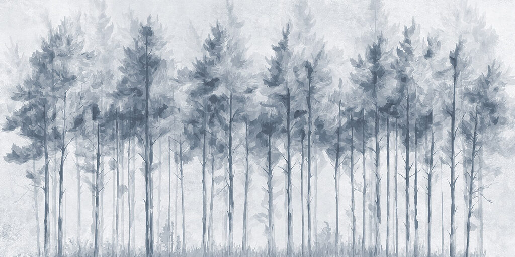 Group of trees in a forest Group of trees in a forest
