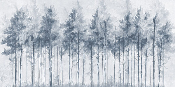 Group of trees in a forest Group of trees in a forest