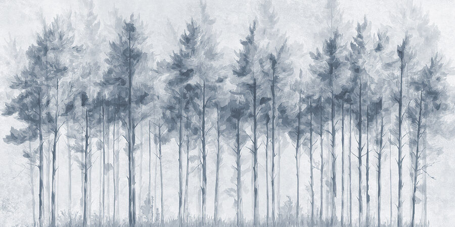 Group of trees in a forest Group of trees in a forest