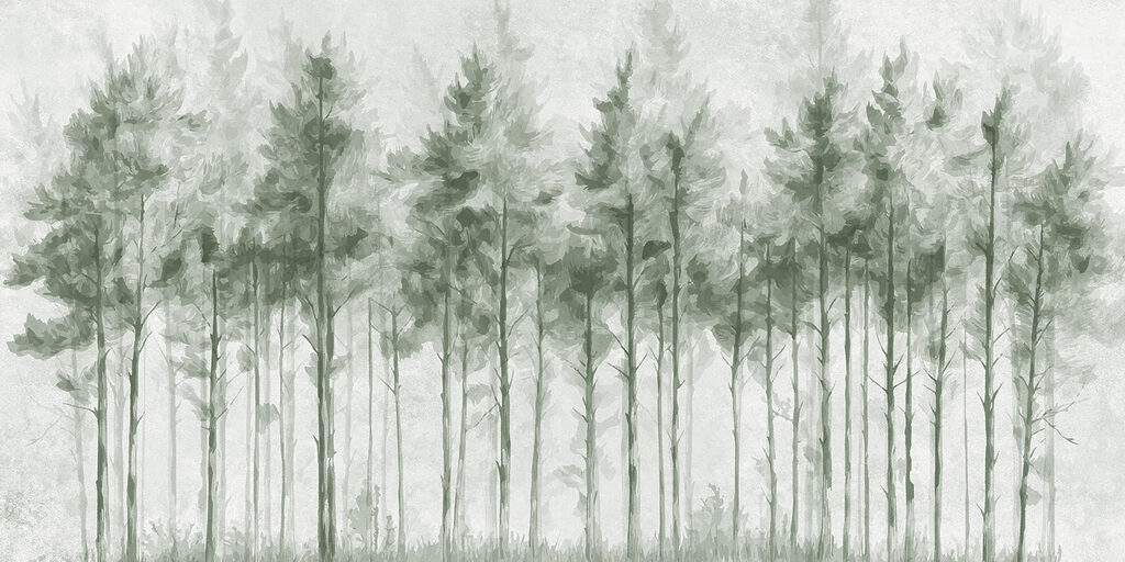 Group of trees in a forest Group of trees in a forest