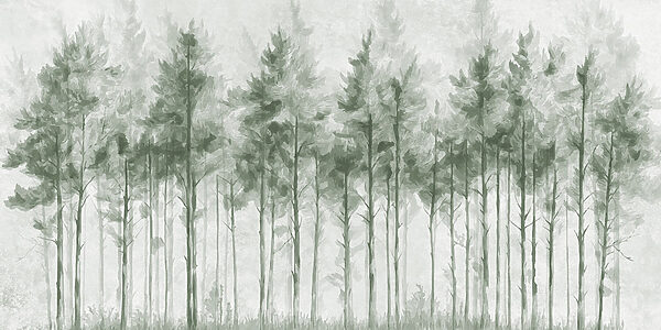 Group of trees in a forest Group of trees in a forest
