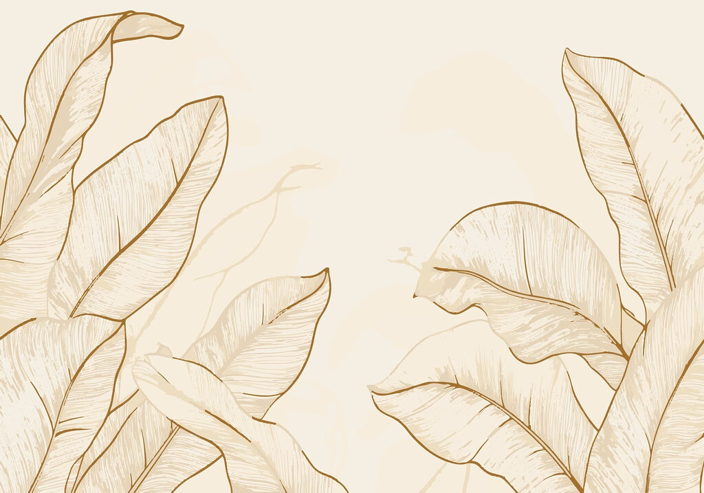 Nature's elegance in subtle tones Nature's elegance in subtle tones