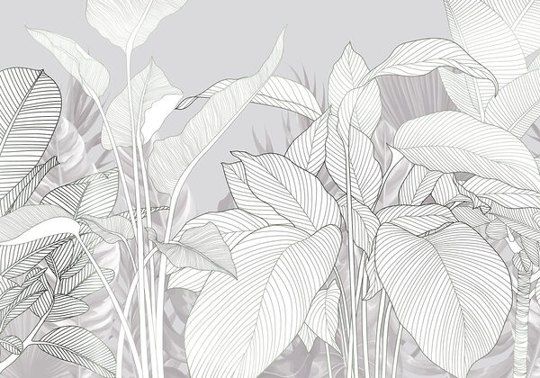 Elegant lines of nature's beauty Elegant lines of nature's beauty
