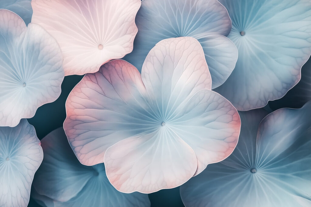 Delicate petals in soft hues Delicate petals in soft hues