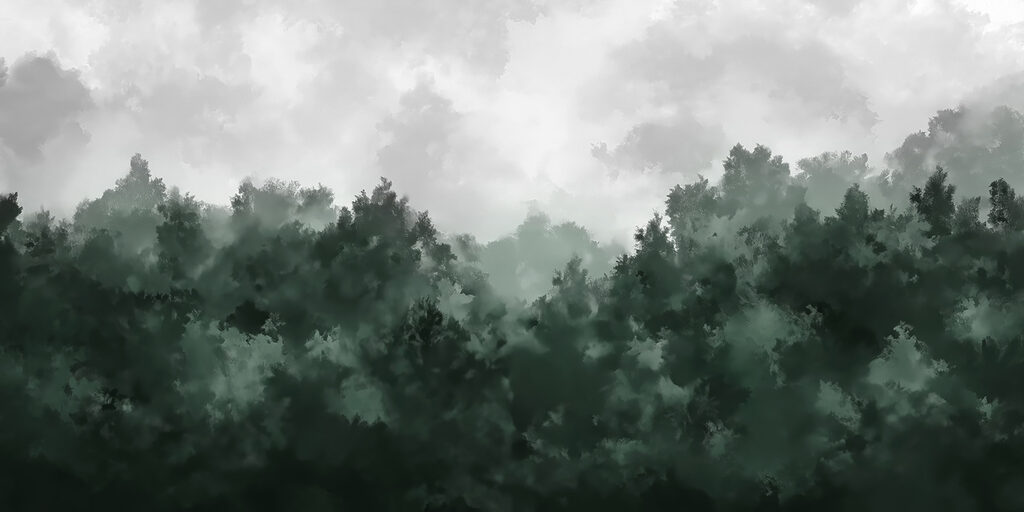 Foggy forest with trees Foggy forest with trees