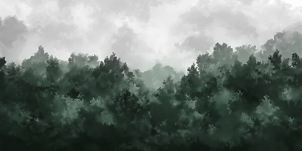 Foggy forest with trees Foggy forest with trees