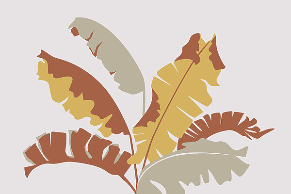 Plant with leaves on it Plant with leaves on it
