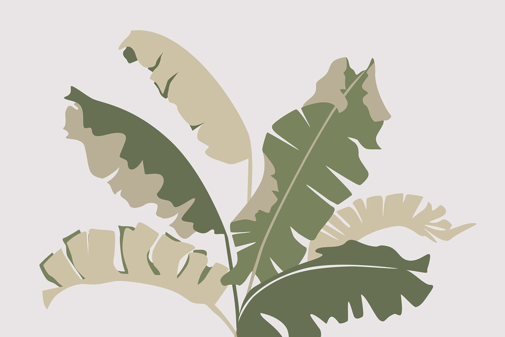 Plant with leaves on it Plant with leaves on it