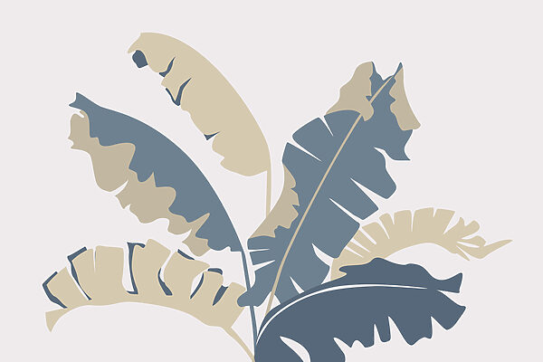 Plant with leaves on it Plant with leaves on it