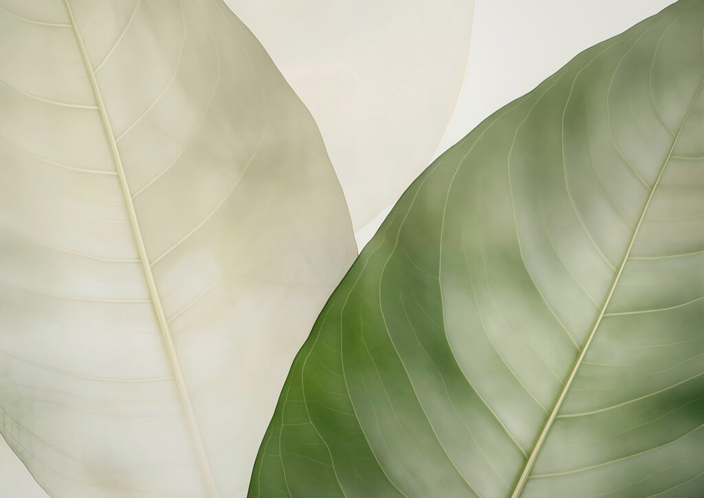 Elegant leaves in soft hues. Elegant leaves in soft hues.