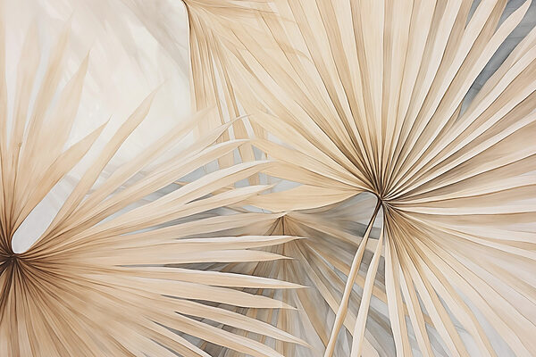 Nature’s elegant fan-shaped patterns. Nature’s elegant fan-shaped patterns.