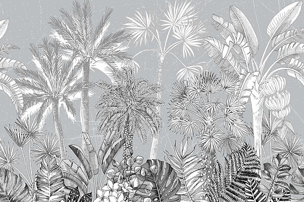 Group of palm trees Group of palm trees
