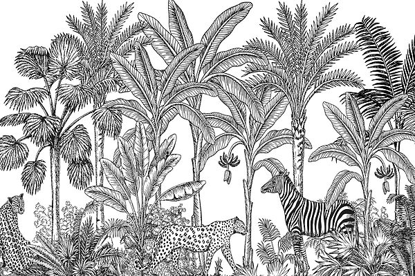 Zebra and cheetah in a jungle Zebra and cheetah in a jungle