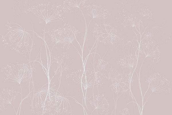 White flowers on a pink background White flowers on a pink background