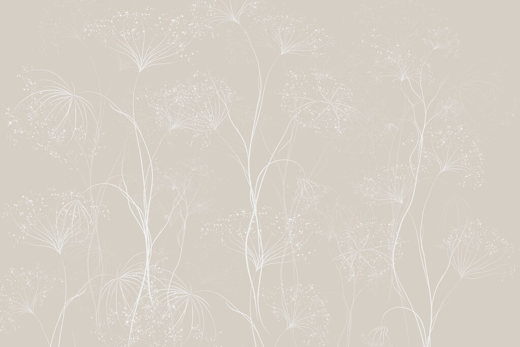 White flowers on a gray background White flowers on a gray background