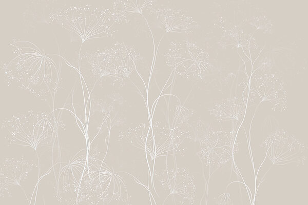 White flowers on a gray background White flowers on a gray background