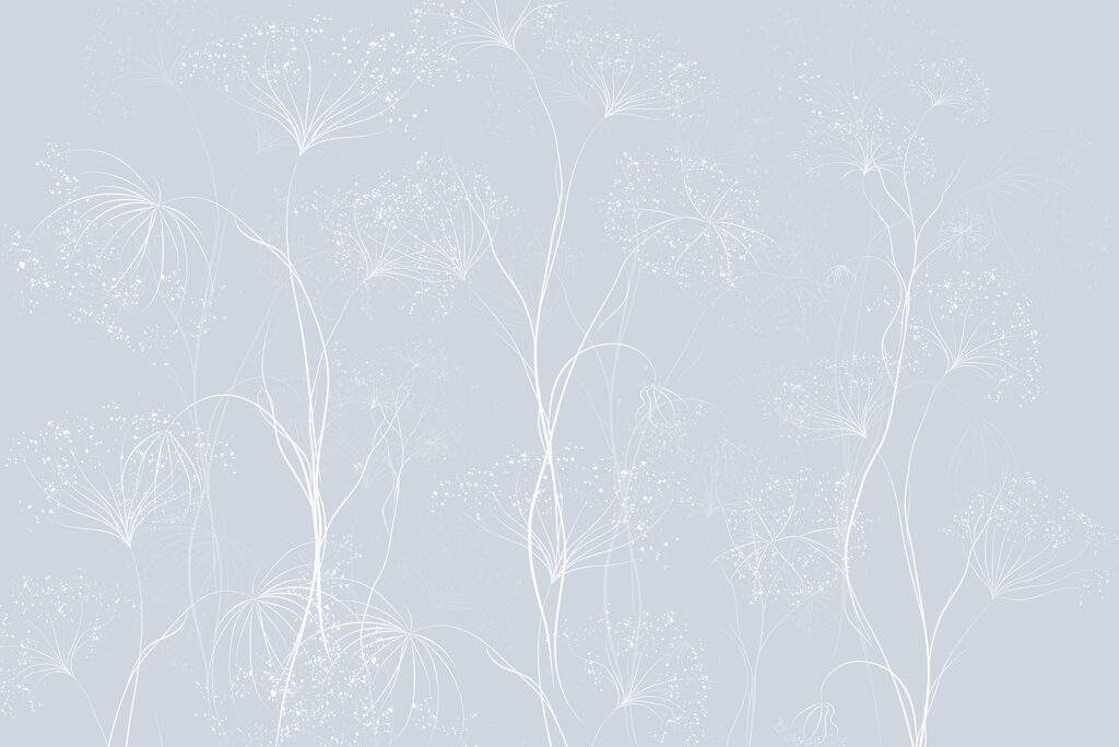 White flowers on a blue background White flowers on a blue background