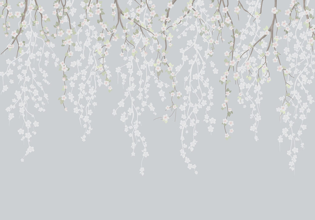 White flowers on a tree branch White flowers on a tree branch