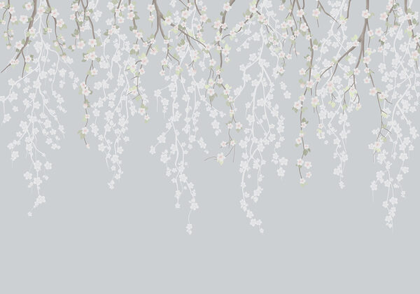 White flowers on a tree branch White flowers on a tree branch