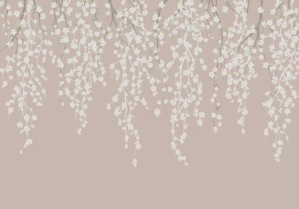 White flowers on a tree branch White flowers on a tree branch
