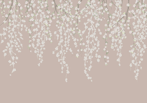 White flowers on a tree branch White flowers on a tree branch
