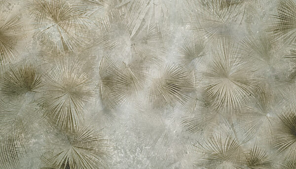 Nature's patterns in soft colors Nature's patterns in soft colors