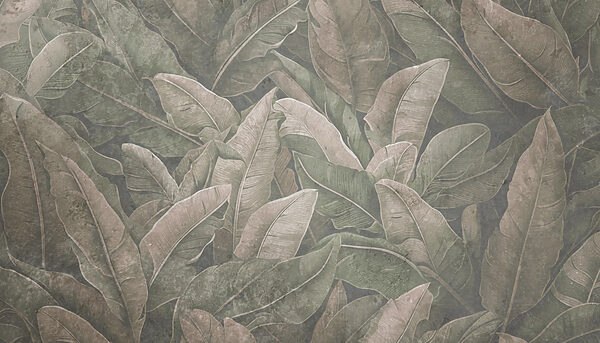 Nature’s detailed leaf patterns revealed. Nature’s detailed leaf patterns revealed.