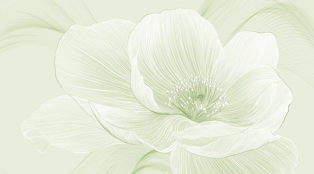 Delicate lines of nature’s beauty Delicate lines of nature’s beauty