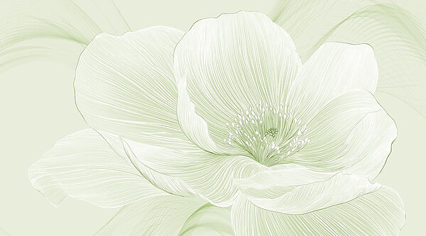 Delicate lines of nature’s beauty Delicate lines of nature’s beauty