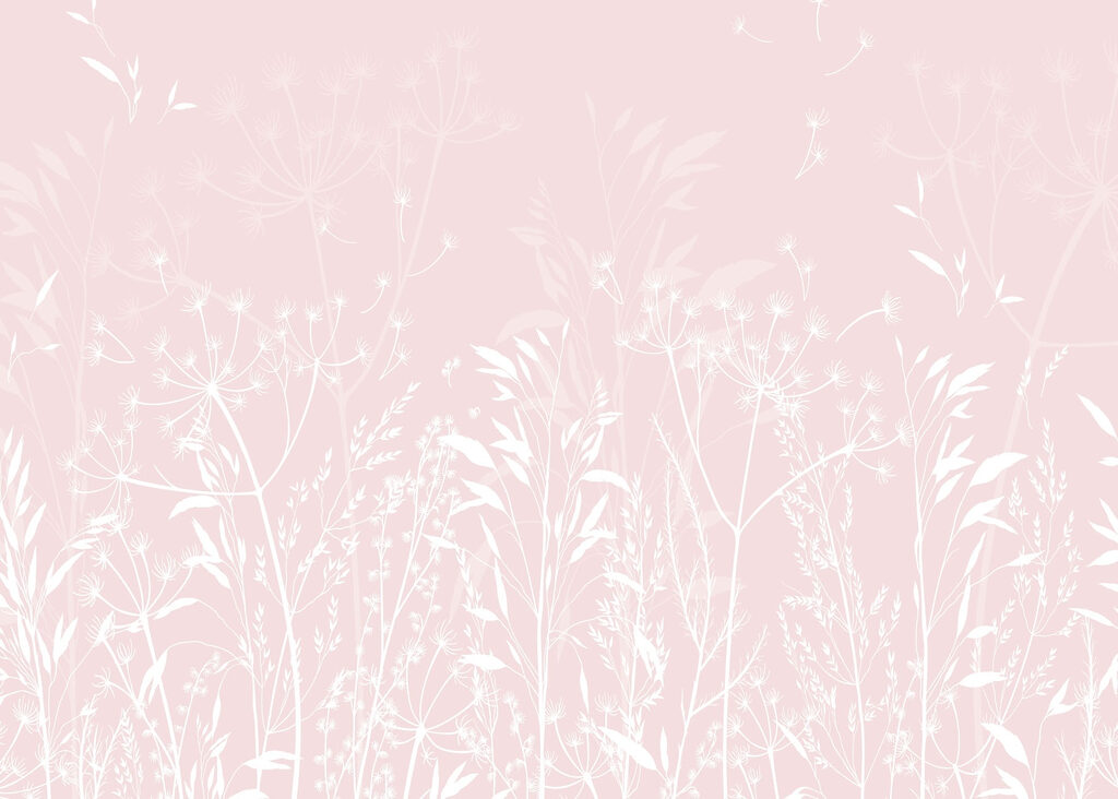 Delicate flora on soft background Delicate flora on soft background