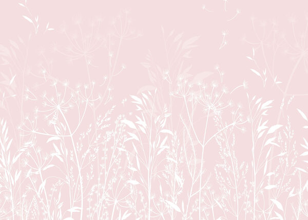 Delicate flora on soft background Delicate flora on soft background