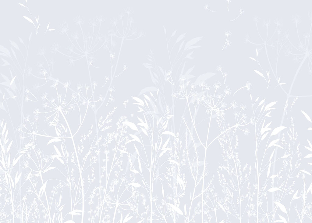 White floral pattern on a light background White floral pattern on a light background