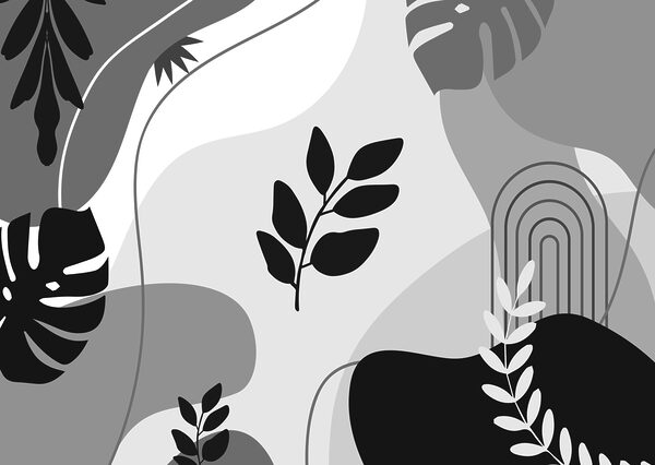 Black and white image of leaves and plants Black and white image of leaves and plants