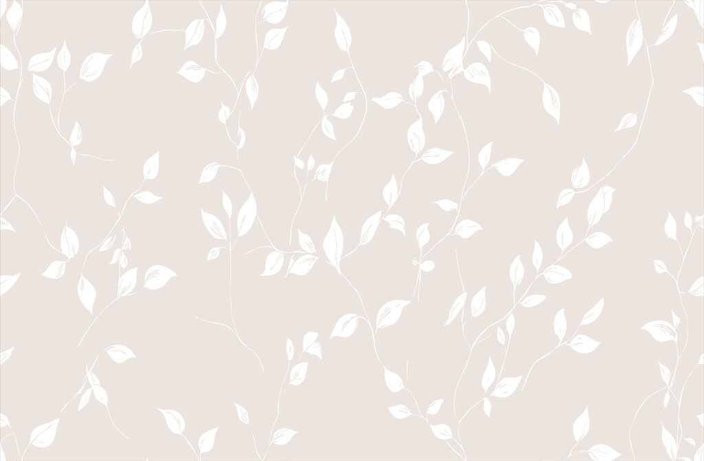 White leaves on a white background White leaves on a white background
