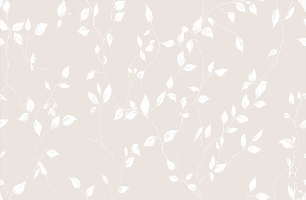 White leaves on a white background White leaves on a white background
