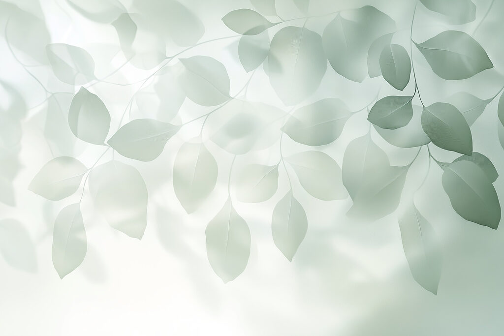 Gentle leaves in soft light Gentle leaves in soft light