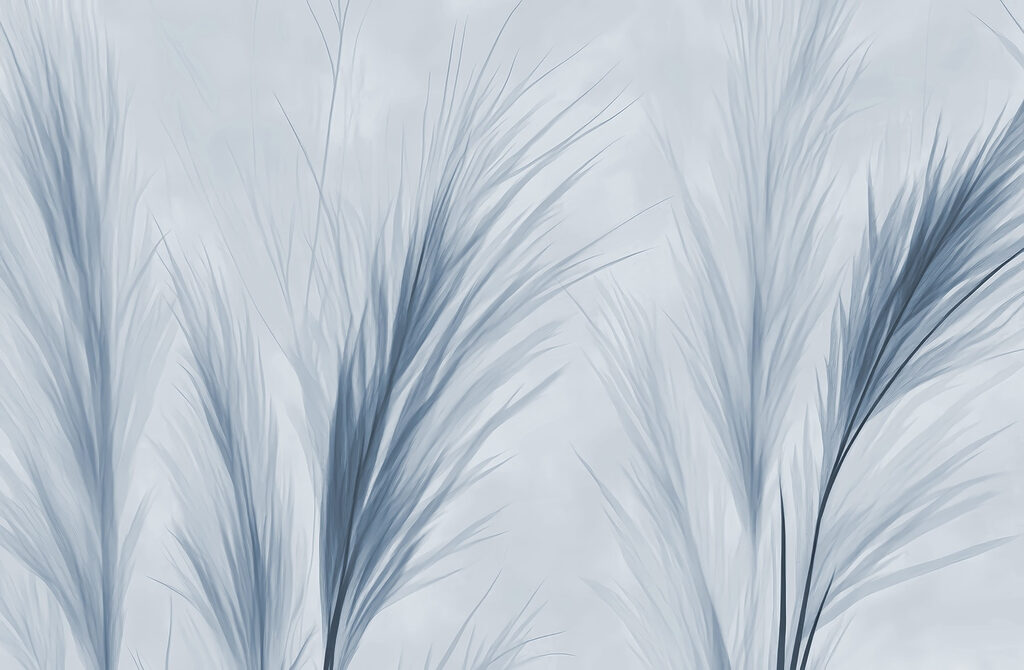 Delicate blue foliage in soft hues Delicate blue foliage in soft hues
